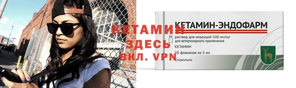 стафф Новозыбков