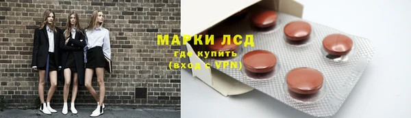 стафф Новозыбков
