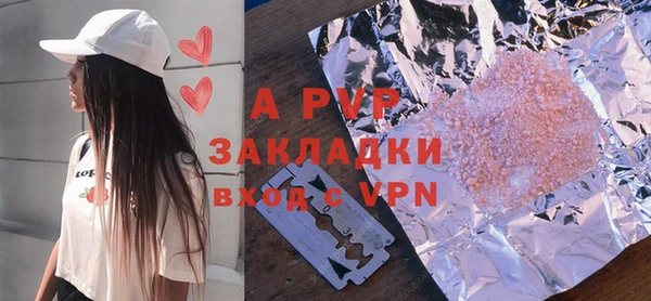 стафф Новозыбков