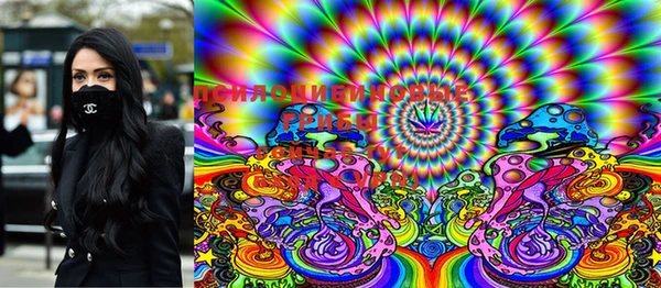 стафф Новозыбков