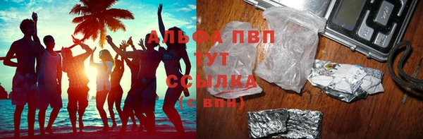 стафф Новозыбков