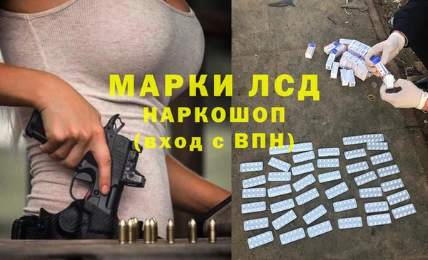 стафф Новозыбков