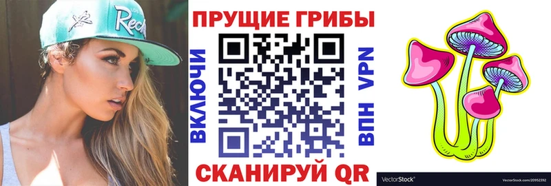 KRAKEN ссылки это как зайти Псилоцибиновые грибы Psilocybe Тюмень